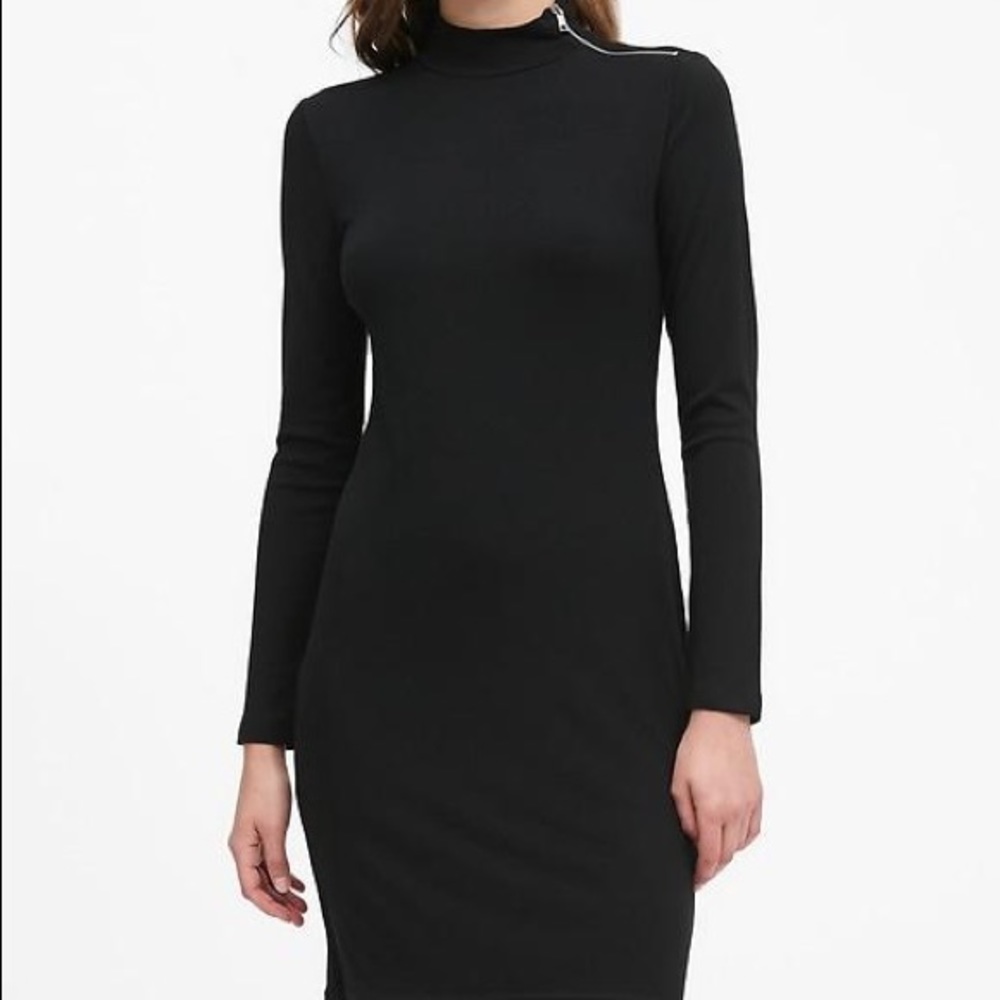 Banana Republic Turtleneck Ribbed-Knit Dress